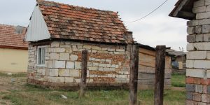 IMG_9349