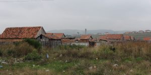IMG_9351