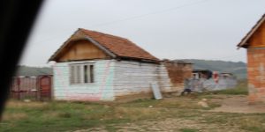 IMG_9354