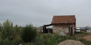 IMG_9363
