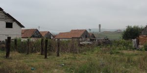 IMG_9366