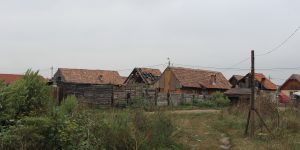 IMG_9367