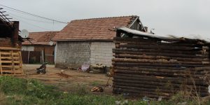IMG_9370
