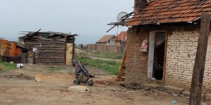 IMG_9372