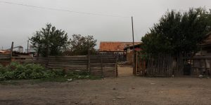 IMG_9377