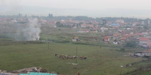 IMG_9388