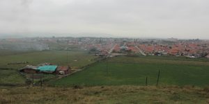 IMG_9392