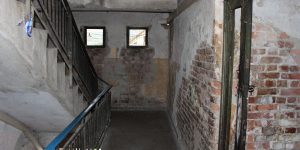 IMG_9398